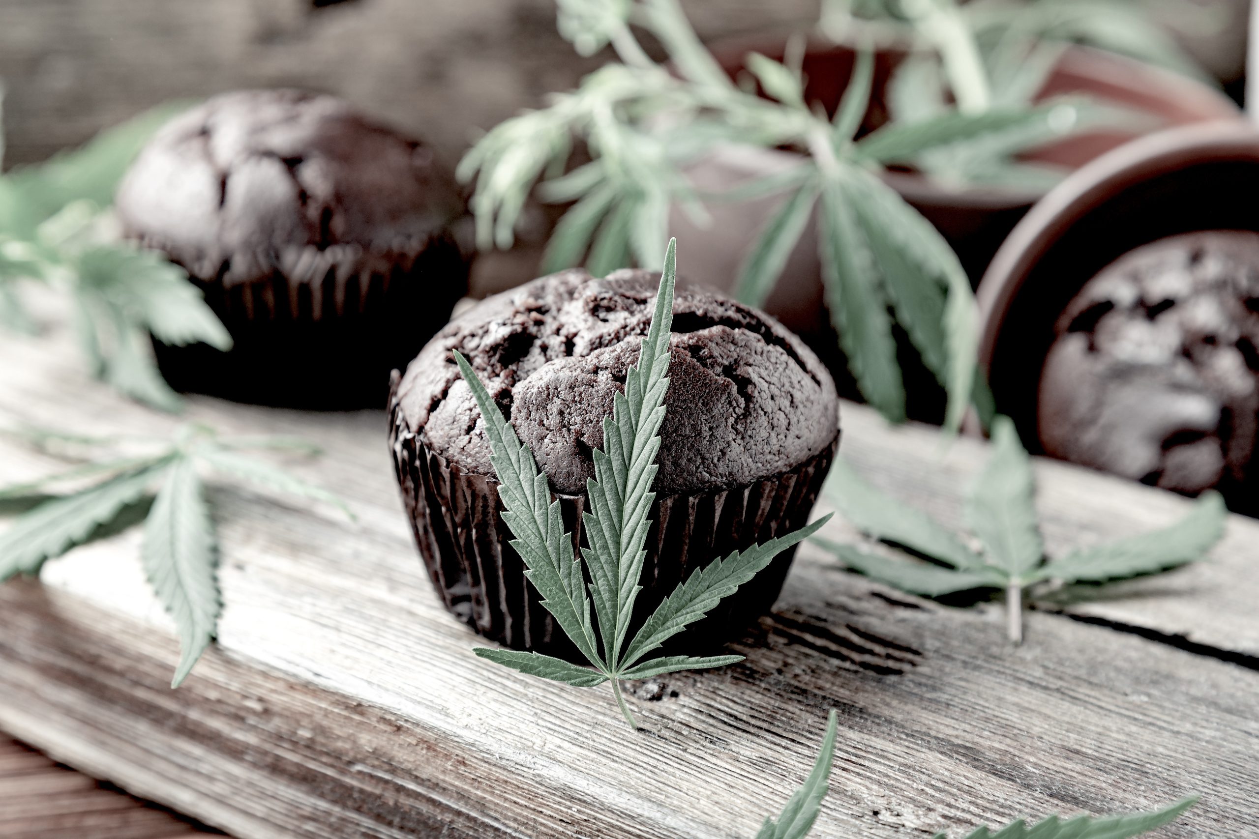 Cuisine CBD : huile/beurre infusés & idées recettes | CBD SA MER