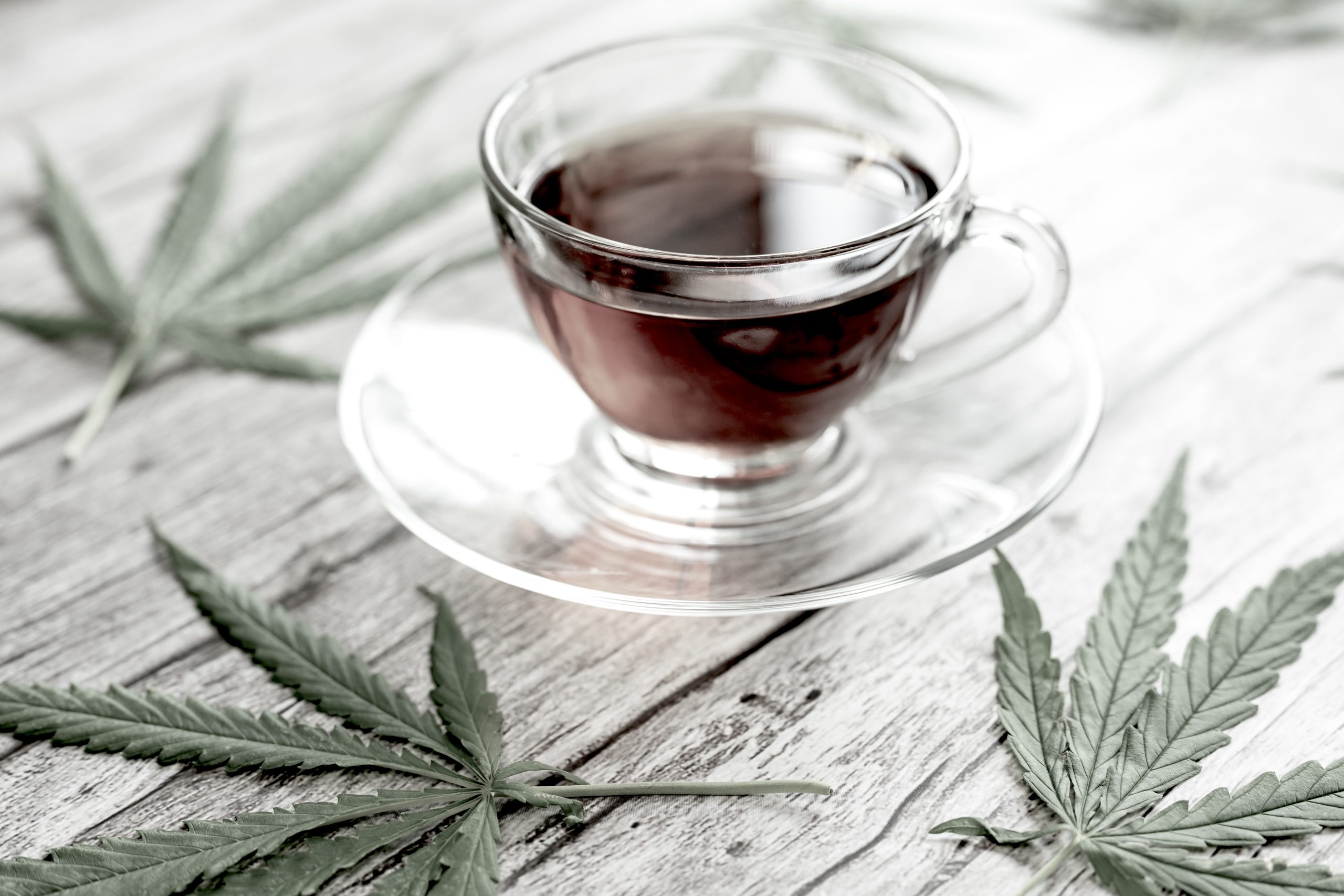 Infusion CBD : méthode simple (avec corps gras) | CBD SA MER