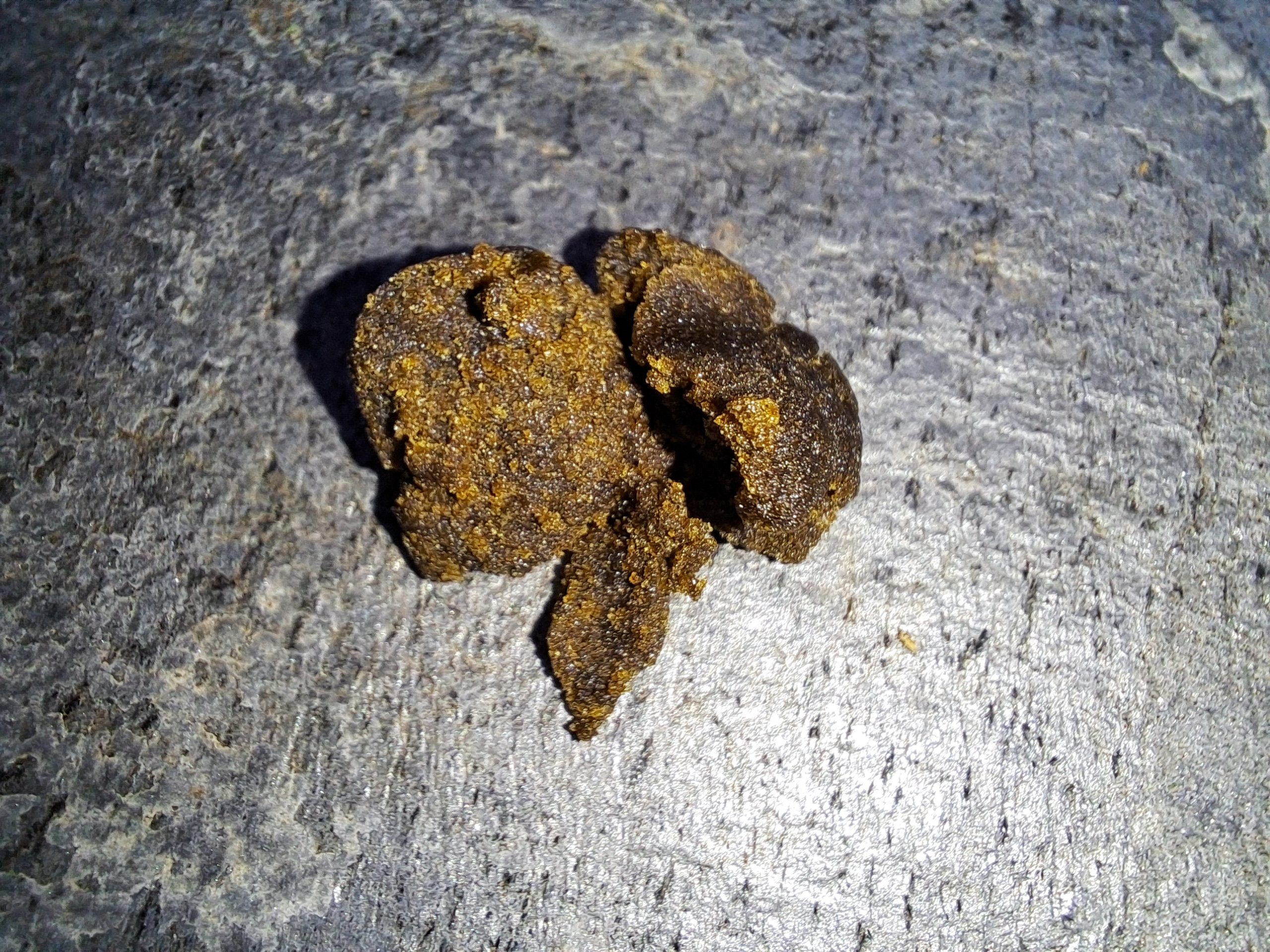 Résine CBD Afghan 50% | Hash puissant et légal – Livraison rapide