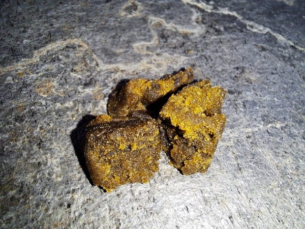 résine CBD Black Butter 70% texture grasse – arômes boisés et épicés – produit légal France