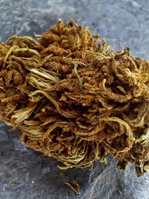 Blueberry Diesel CBD 4 % | Fleurs Greenhouse françaises
