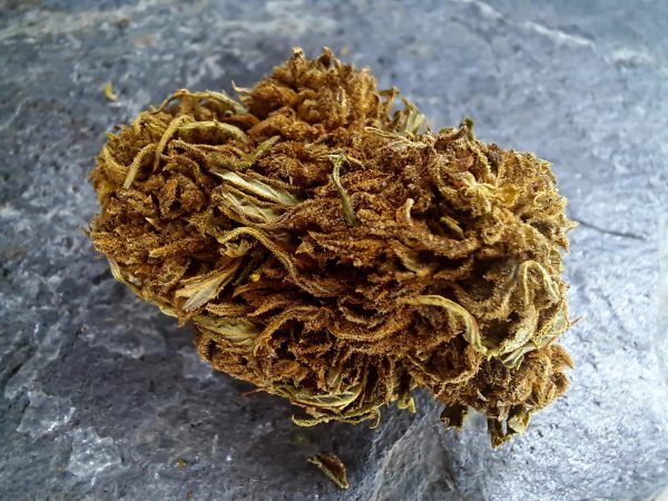blueberry-diesel-cbd-fleur-greenhouse Blueberry Diesel CBD 4 % | Fleurs Greenhouse françaises