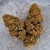 cannatonic-cbd-pas-cher- Cannatonic CBD pas cher – Fleur CBD 10 % suisse naturelle