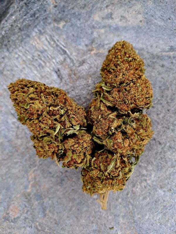 cannatonic-cbd-pas-cher- Cannatonic CBD pas cher – Fleur CBD 10 % suisse naturelle
