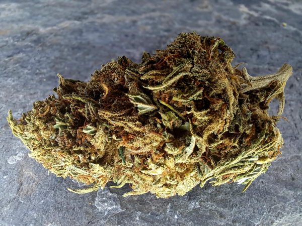 -cannatonic-cbd-pas-cher Cannatonic CBD pas cher – Fleur CBD 10 % suisse naturelle