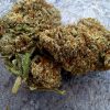 Fleur CBD Critical + 2.0 Indoor – Big Bud Suisse 16% CBD