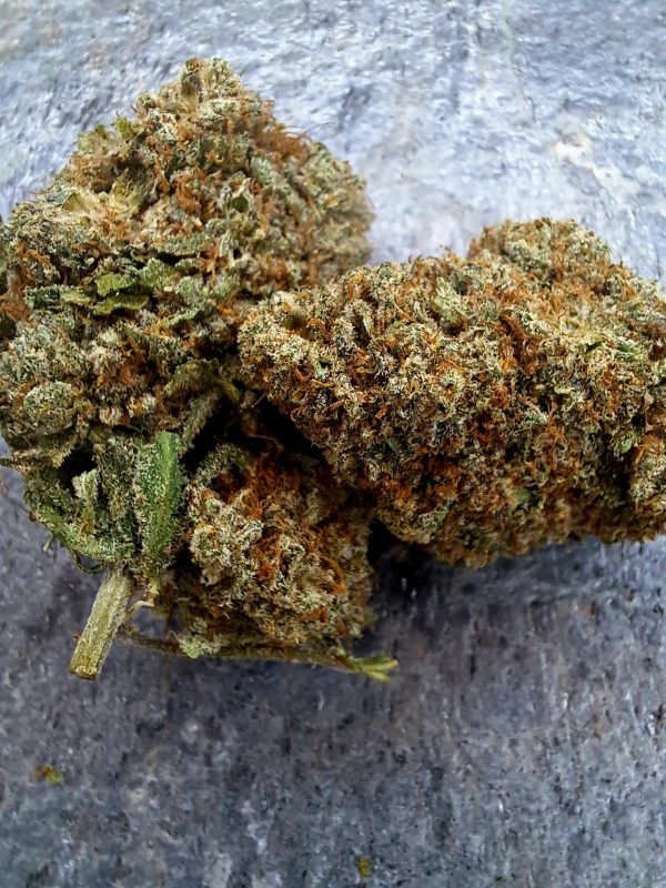 Fleur CBD Critical + 2.0 Indoor – Big Bud Suisse 16% CBD