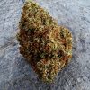 Fleur CBD Critical + 2.0 Indoor – Big Bud Suisse 16% CBD