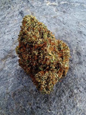 Fleur CBD Critical + 2.0 Indoor – Big Bud Suisse 16% CBD