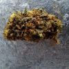Fleur CBD Watermelon THCX – Bud Mix Puissant Greenhouse