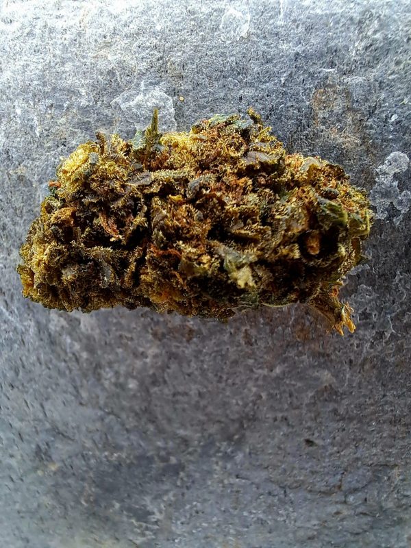 Fleur CBD Watermelon THCX – Bud Mix Puissant Greenhouse