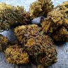 Fleur CBD Watermelon THCX – Bud Mix Puissant Greenhouse
