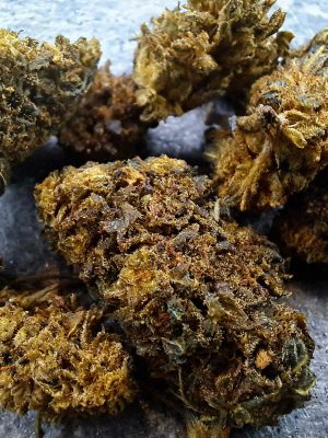 Fleur CBD Watermelon THCX – Bud Mix Puissant Greenhouse