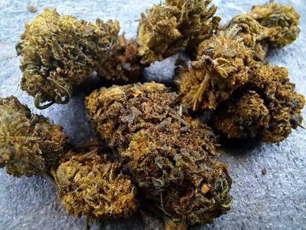 Fleur CBD Watermelon THCX – Bud Mix Puissant Greenhouse