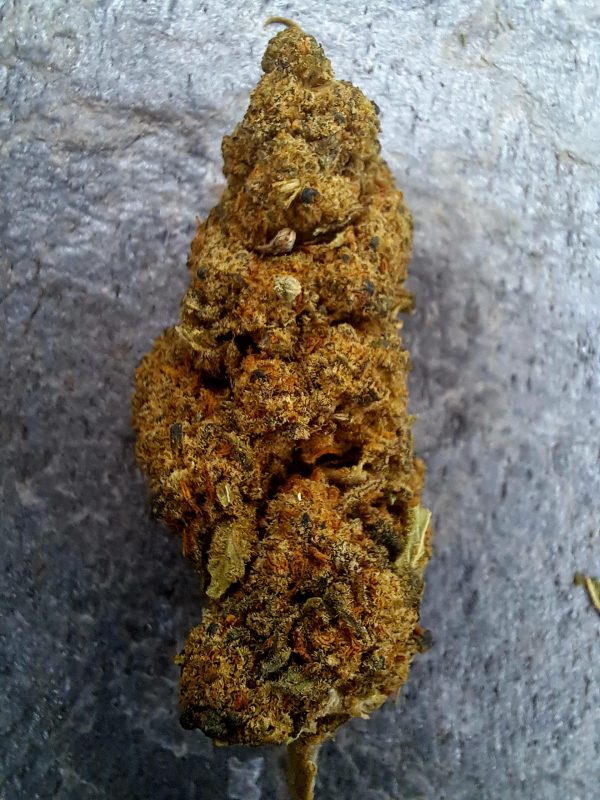 Fleur CBD Zkittlez – Goût sucré – Bud Mix Glass-House – Suisse