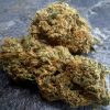 Mango Rainbow CBD – Big Bud – Fleurs CBD Suisse