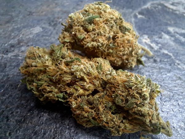 Mango Rainbow CBD – Big Bud – Fleurs CBD Suisse