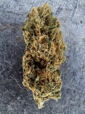 Mango Rainbow CBD – Big Bud – Fleurs CBD Suisse