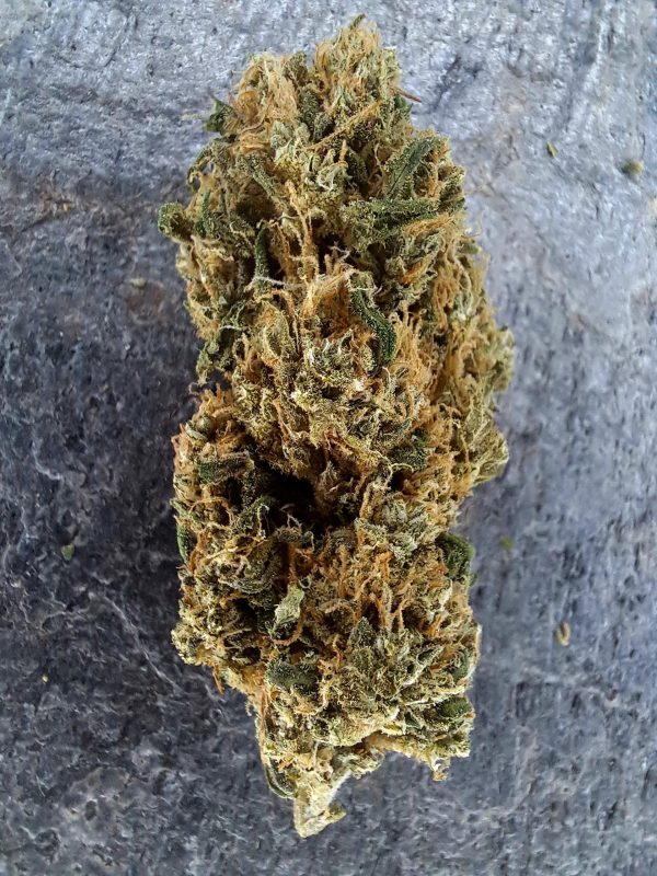 Mango Rainbow CBD – Big Bud – Fleurs CBD Suisse