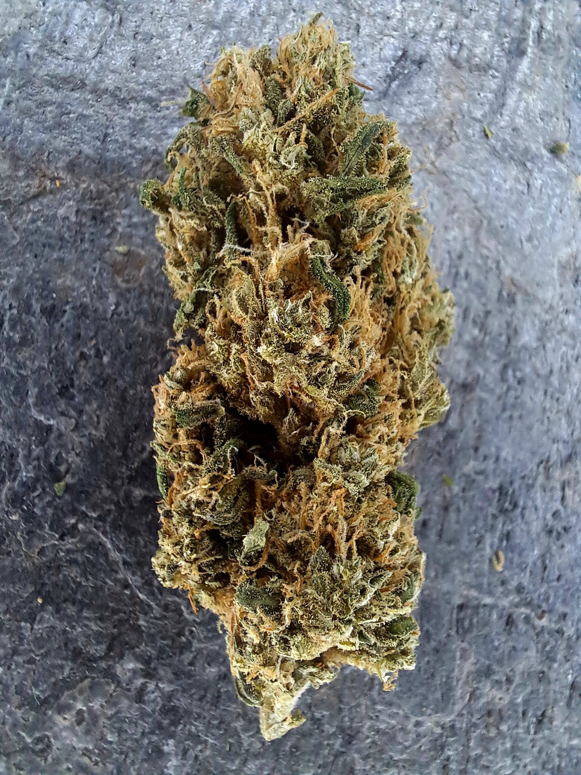 Mango Rainbow CBD – Big Bud – Fleurs CBD Suisse