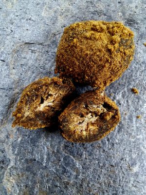 Moonrock molle CBD 48 % – Résine puissante à haute teneur