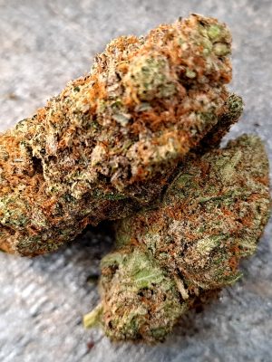 Butter Cream Gelato CBD – Big Bud – Indoor Cali
