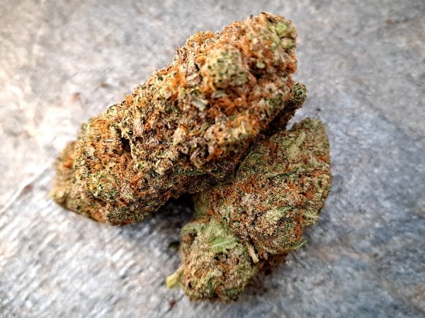 Butter Cream Gelato CBD – Big Bud – Indoor Cali