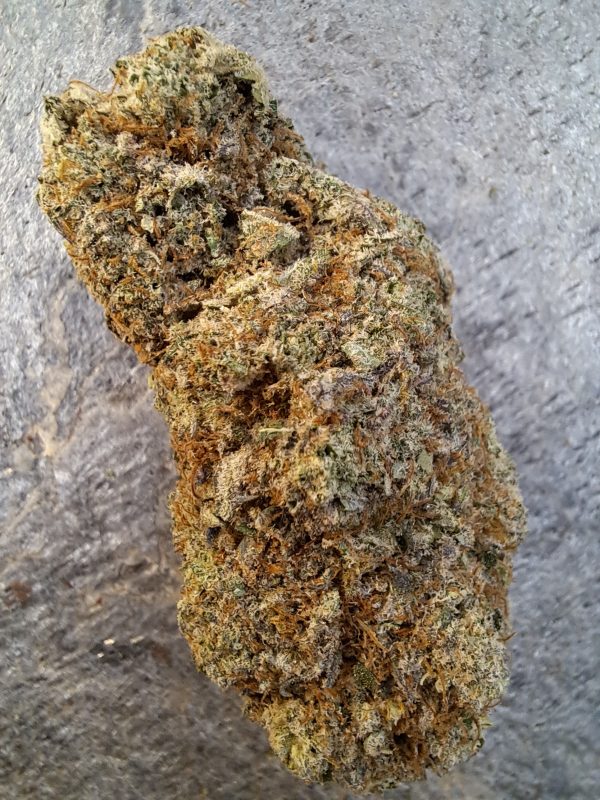 Butter Cream Gelato CBD – Big Bud – Indoor Cali